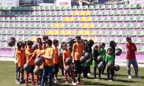 Grassroots (10)