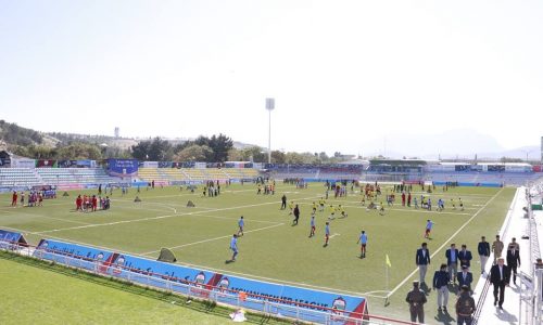 Grassroots (4)